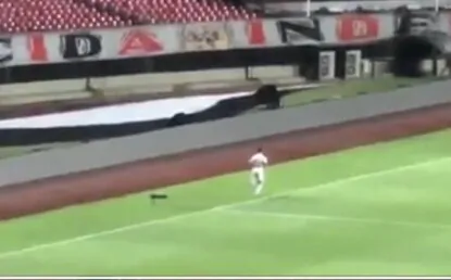 Após vitória do Tricolor no Morumbi, Hernanes corre no gramado debaixo de chuva